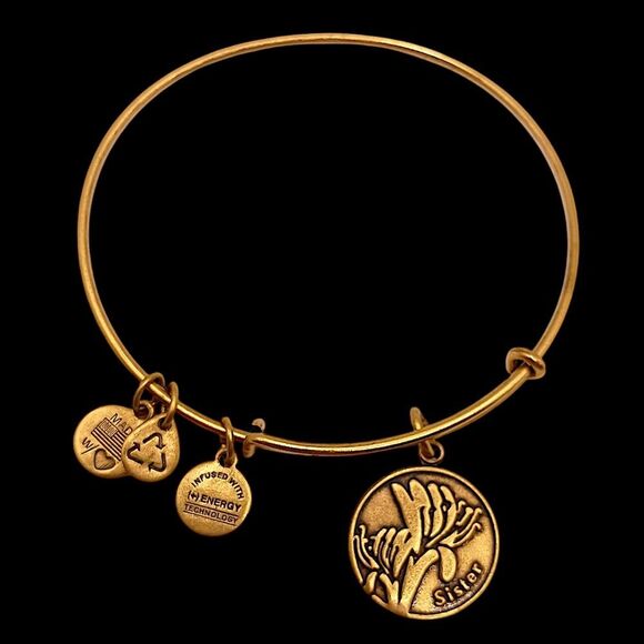 Alex and Ani Sister Charm Bracelet Bangle Adjustable Gold Tone USA Made Y2K - Picture 7 of 14